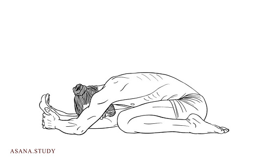 Triang Mukha Eka Pada Paschimottanasana