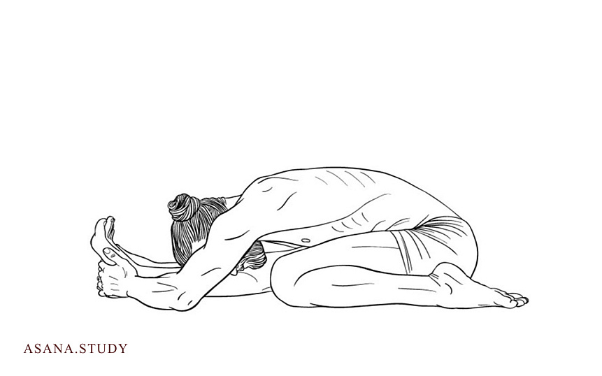 Triang Mukha Eka Pada Paschimottanasana: Benefits for Body and Mind