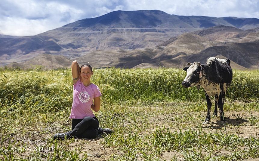 Gomukhasana in nature