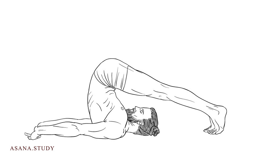 Halasana (Plow Pose) for a Healthy Back, Neck, and Digestion