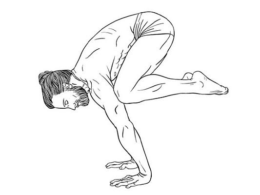 Gallery of asanas