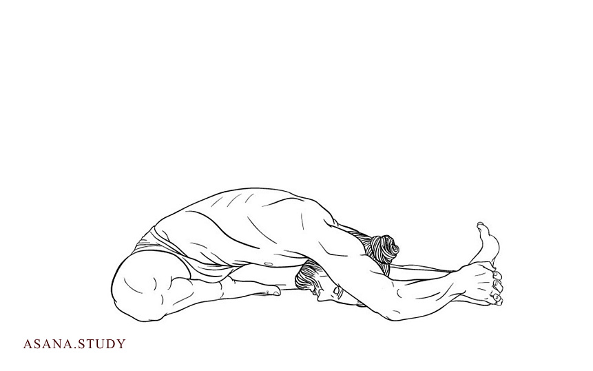 Janu Sirsasana: A Comprehensive Guide to Head-to-Knee Pose