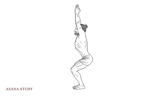  Illustration showing a man holding Utkatasana with bent knees and raised arms for proper yoga chair pose alignment.