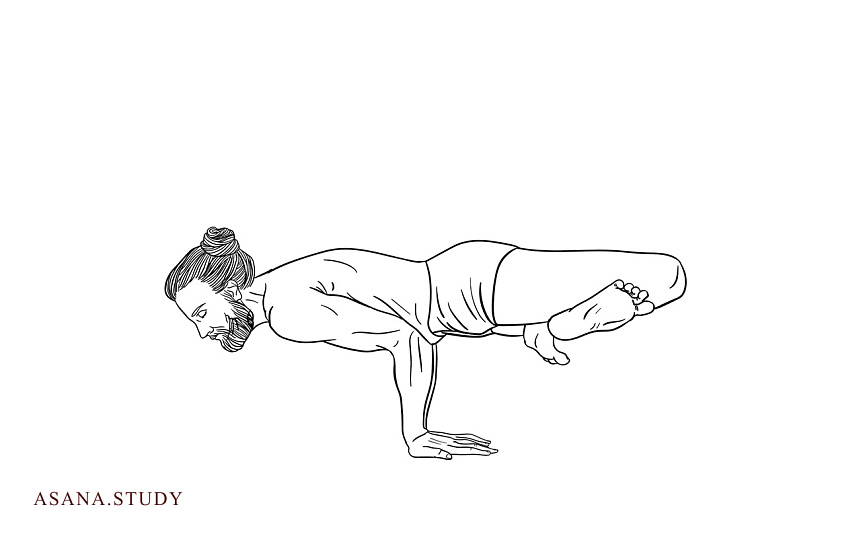 Padma Mayurasana
