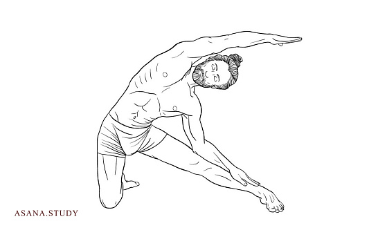 Parighasana (Gate Pose)