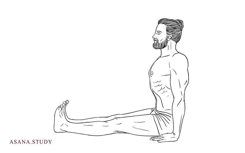 Dandasana: A Complete Guide to Staff Pose