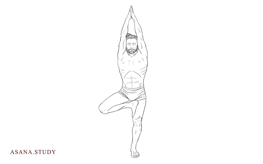 Vrikshasana: The Yoga Tree Pose - Benefits, Technique, and Variations