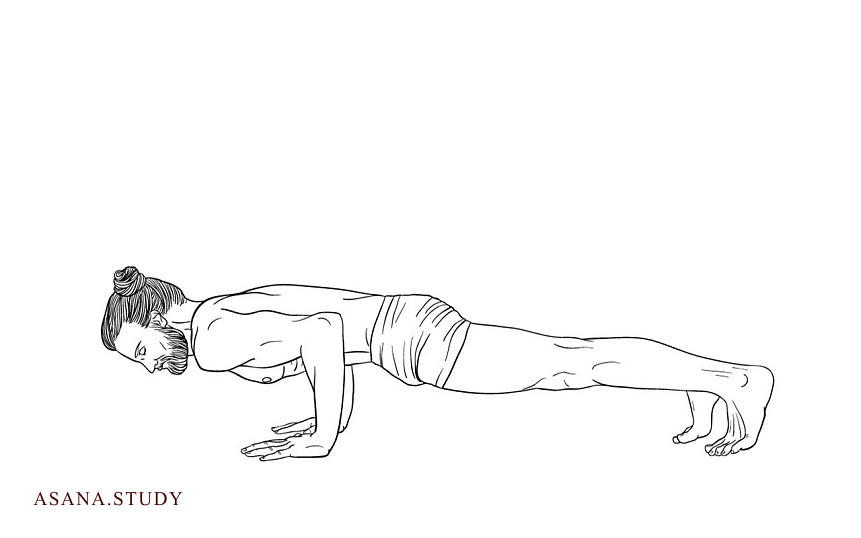 Chaturanga Dandasana: Strengthen your arms, core, and prepare for arm balances