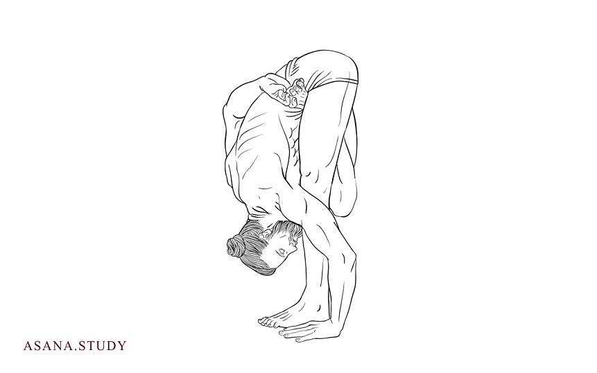Ardha Baddha Padmottanasana: A Detailed Guide to Half Bound Lotus Standing Forward Bend