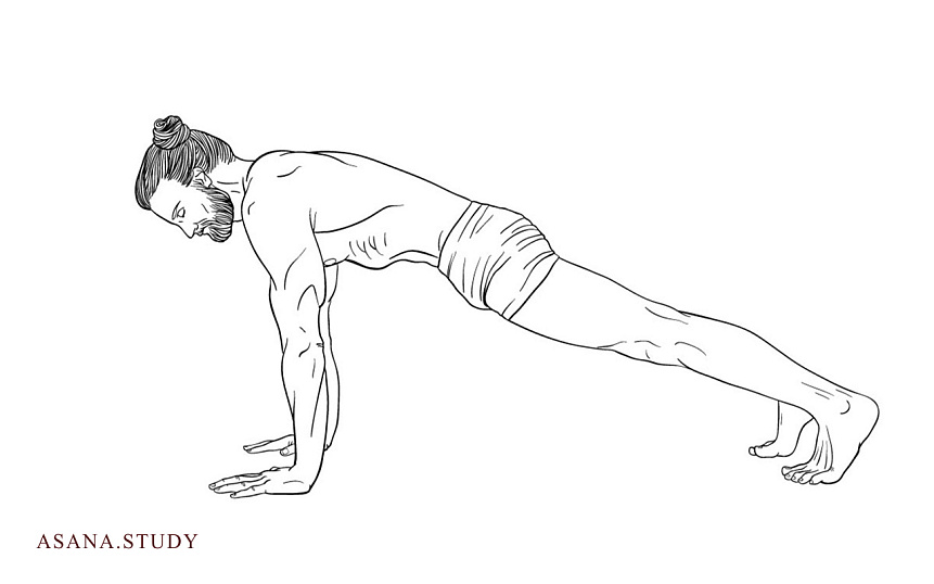Urdhva Chaturanga Dandasana: Preparing for Advanced Yoga Poses