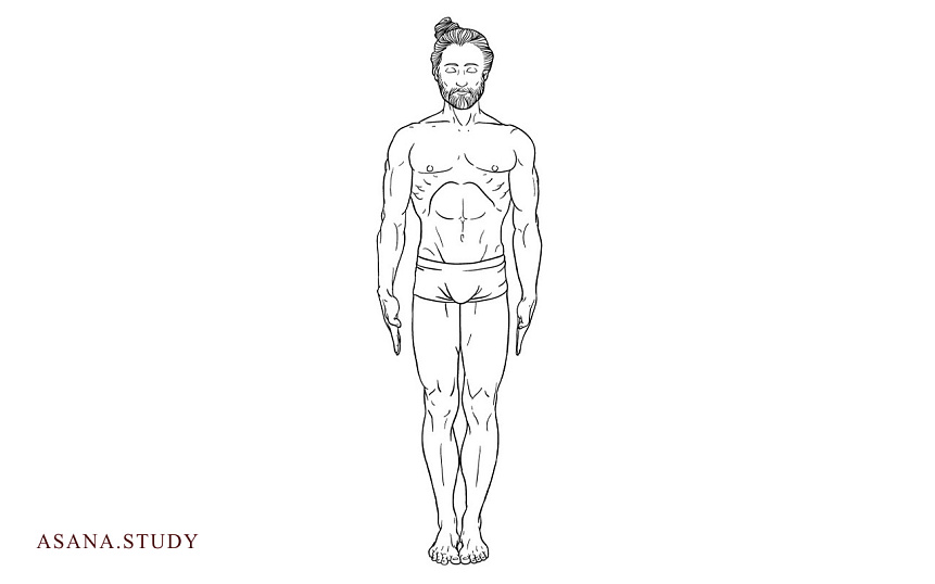 Tadasana (Mountain Pose): Benefits, Technique, and Tips
