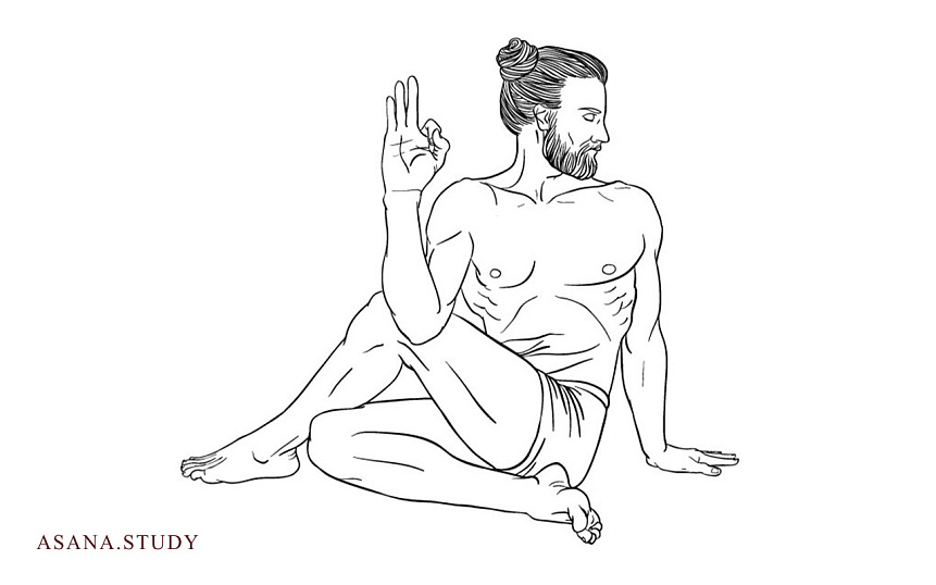 Ardha Matsyendrasana: How to Perform Correctly, Benefits, and Contraindications