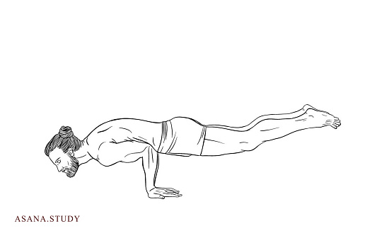 Mayurasana (Peacock Pose)