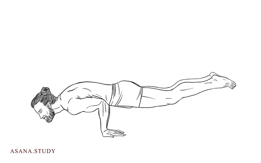 Mayurasana (Peacock Pose): Technique, Benefits, and Contraindications