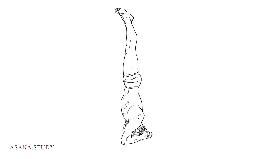 Salamba Shirshasana: Master the Headstand with a Step-by-Step Guide