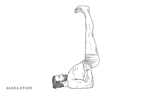 Viparita Karani Mudra