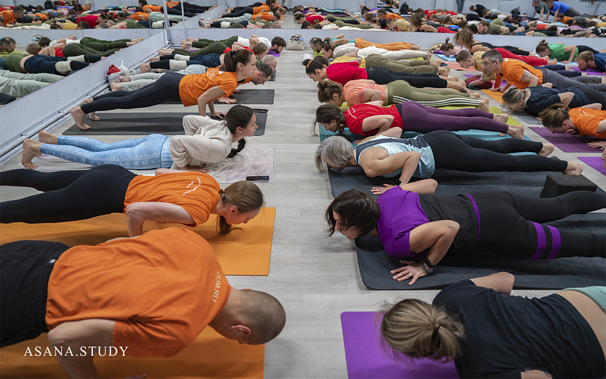 Chaturanga Dandasana