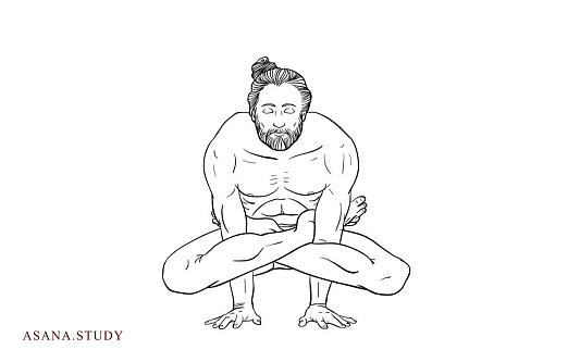 Kukkutasana