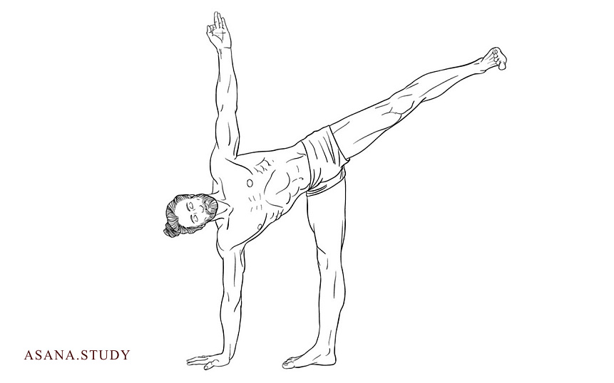 Ardha Chandrasana: A Detailed Guide to Half Moon Pose